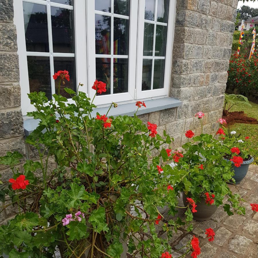 Lakeside Cottages Nuwara Eliya Buitenkant foto