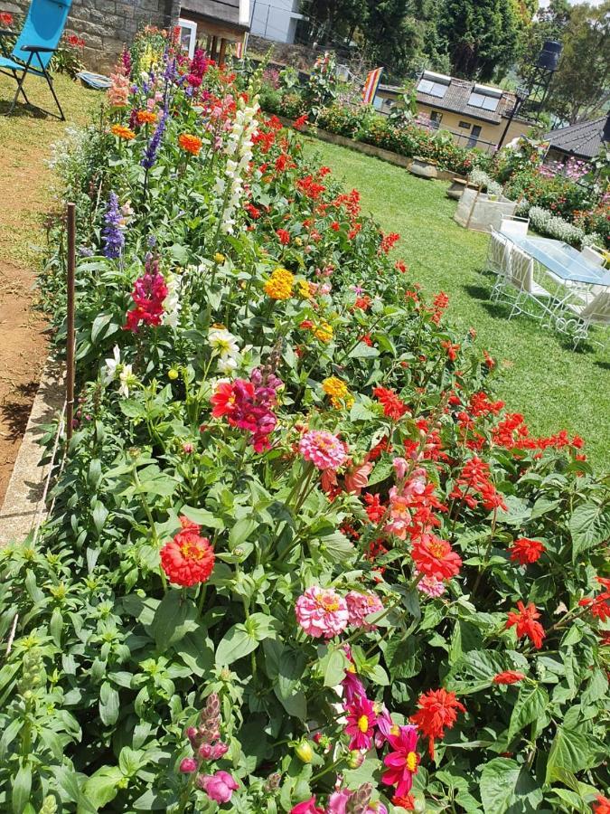 Lakeside Cottages Nuwara Eliya Buitenkant foto